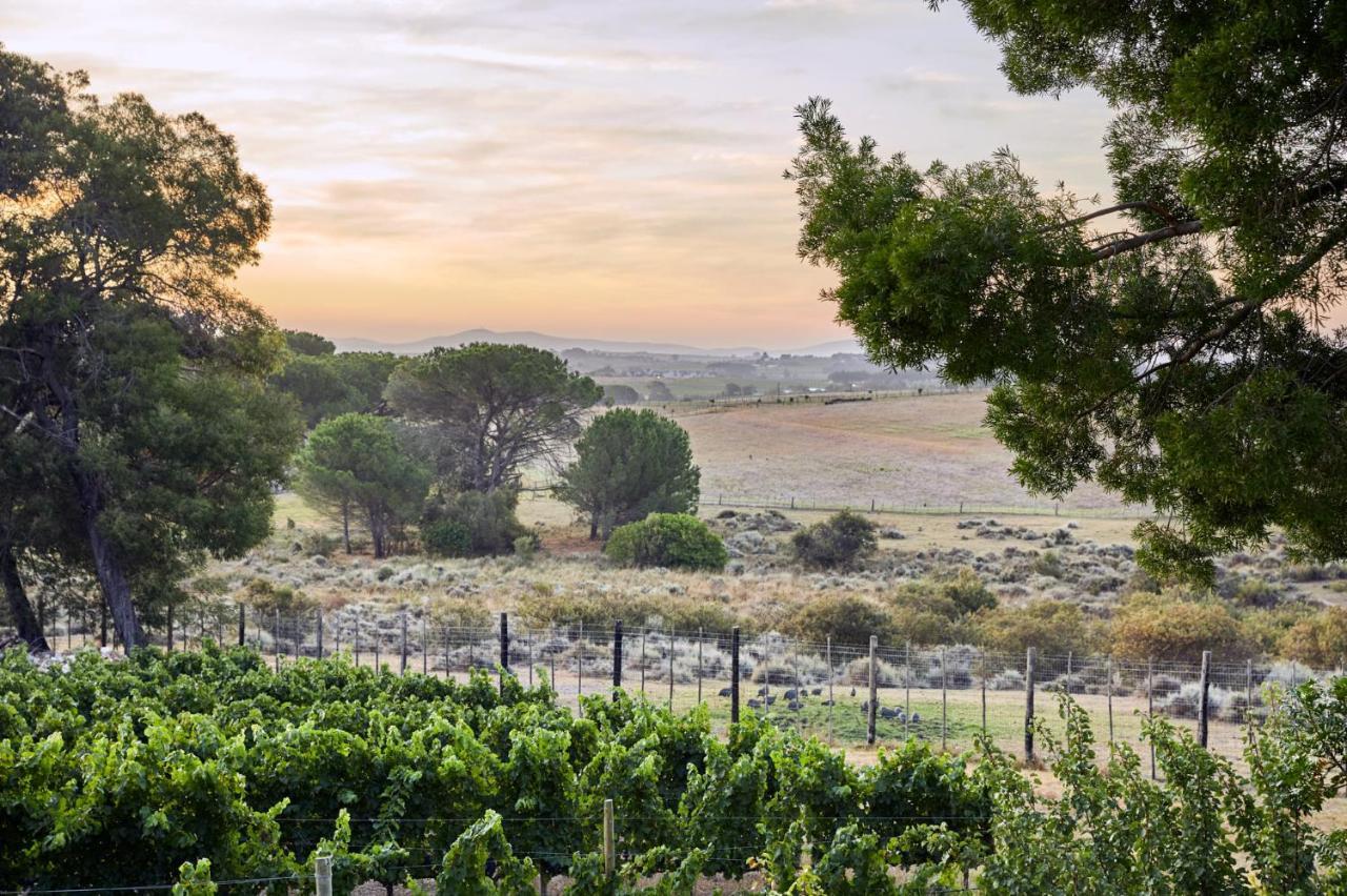 Deux Freres Wine Estate & Luxury Villas Stellenbosch Buitenkant foto