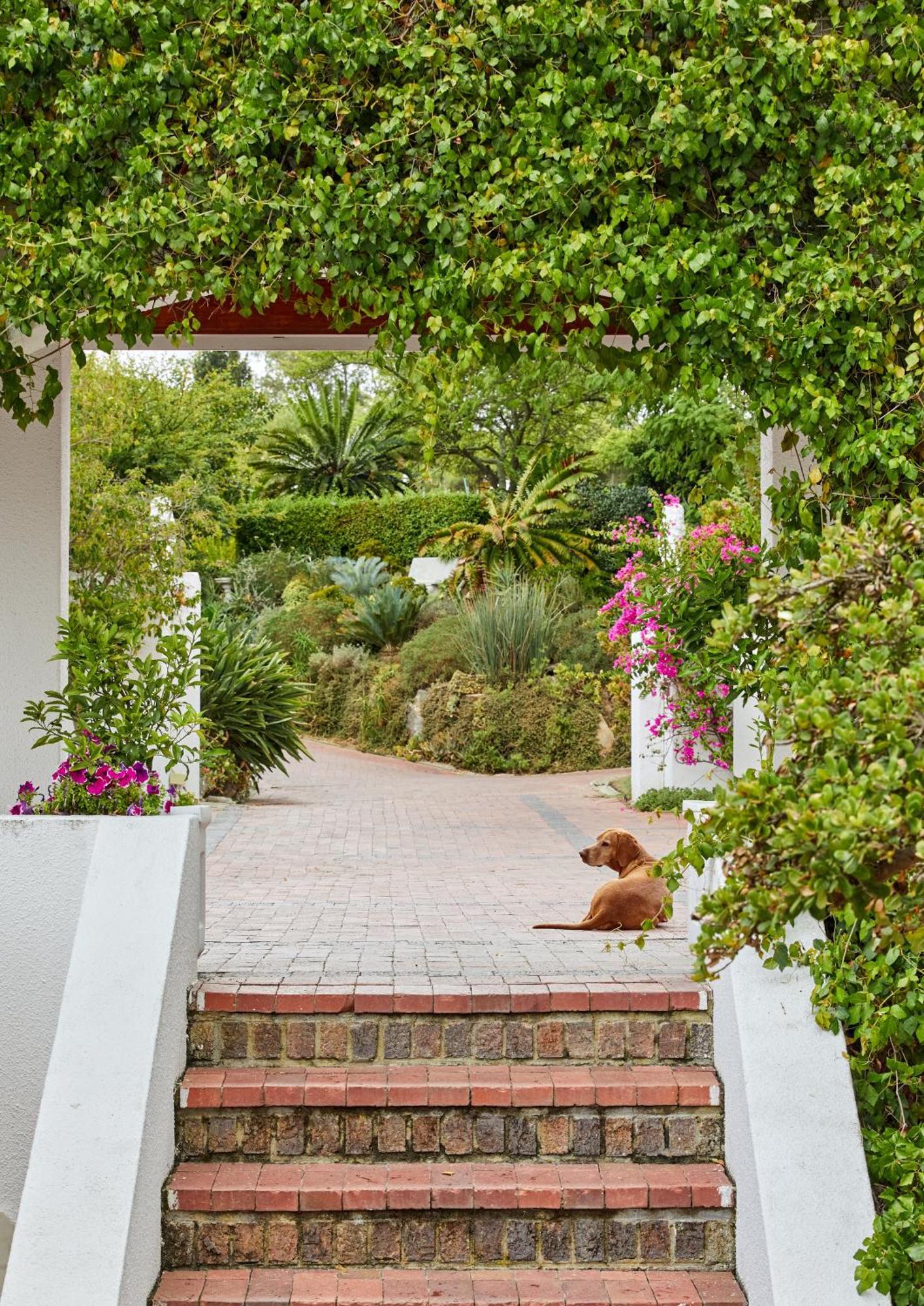 Deux Freres Wine Estate & Luxury Villas Stellenbosch Buitenkant foto